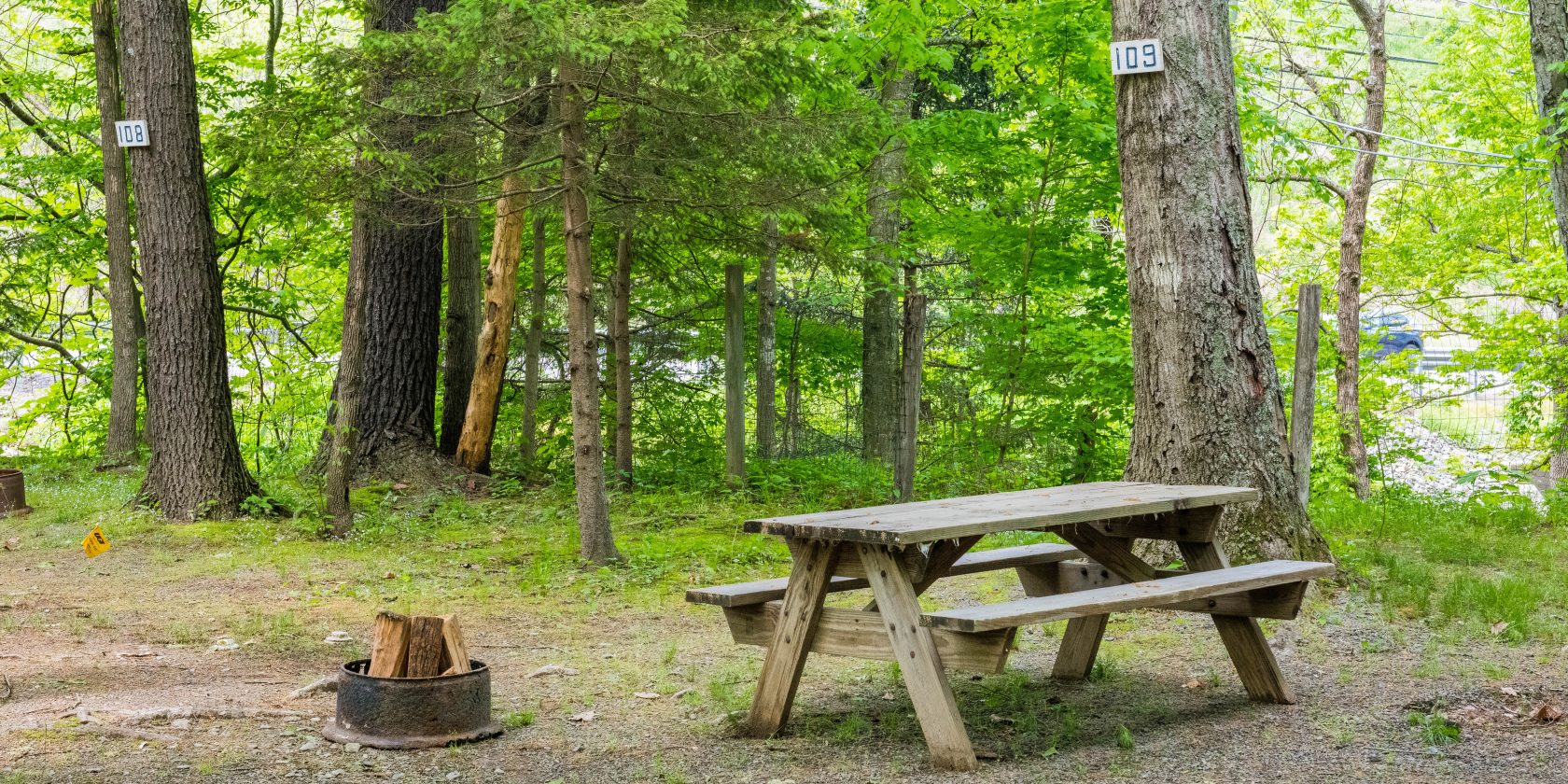 Nebraska Forest